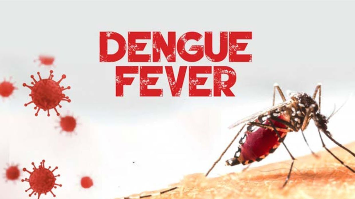 DENGUE PROFILE