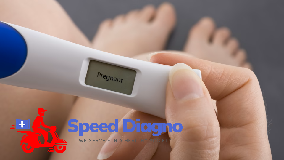 Pregnancy Test