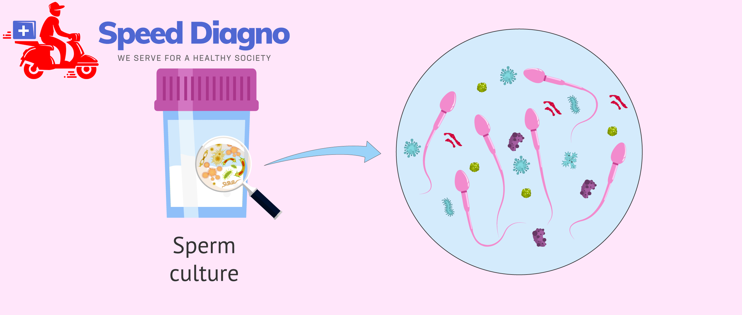 SEMEN CULTURE & SENSITIVITY