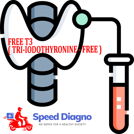 FREE T3 ( TRI-IODOTHYRONINE - FREE )