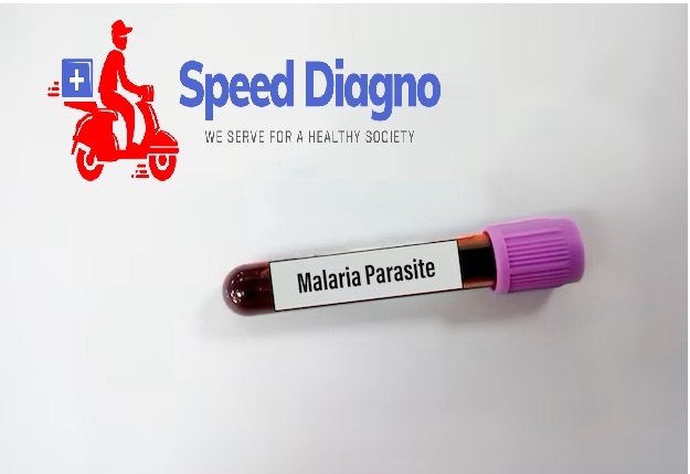 Malaria Parasite(SMEAR)