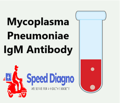 Mycoplasma Pneumoniae IgM Antibody