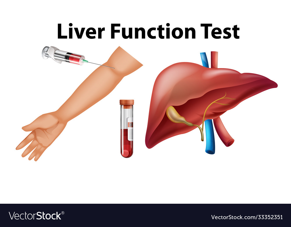 LIVER FUNCTION TEST - LFT